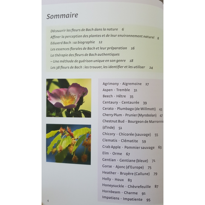 Les Fleurs de Bach authentiques de Mechthild Scheffer Mes Fleurs de BACH 6 - mesfleursdebach.com 