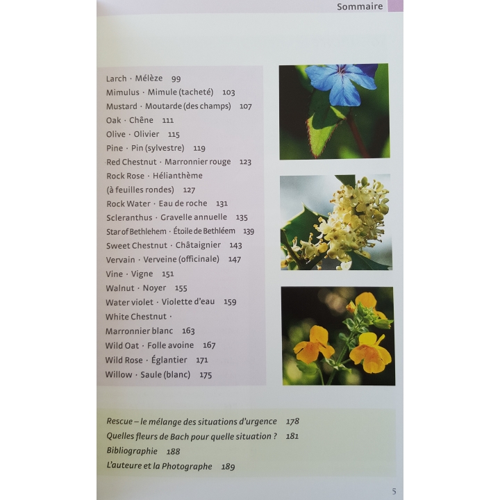 Les Fleurs de Bach authentiques de Mechthild Scheffer Mes Fleurs de BACH 7 - mesfleursdebach.com 