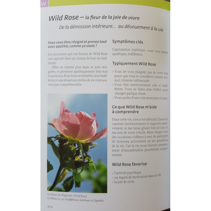 Les Fleurs de Bach authentiques de Mechthild Scheffer Mes Fleurs de BACH 11 - mesfleursdebach.com 
