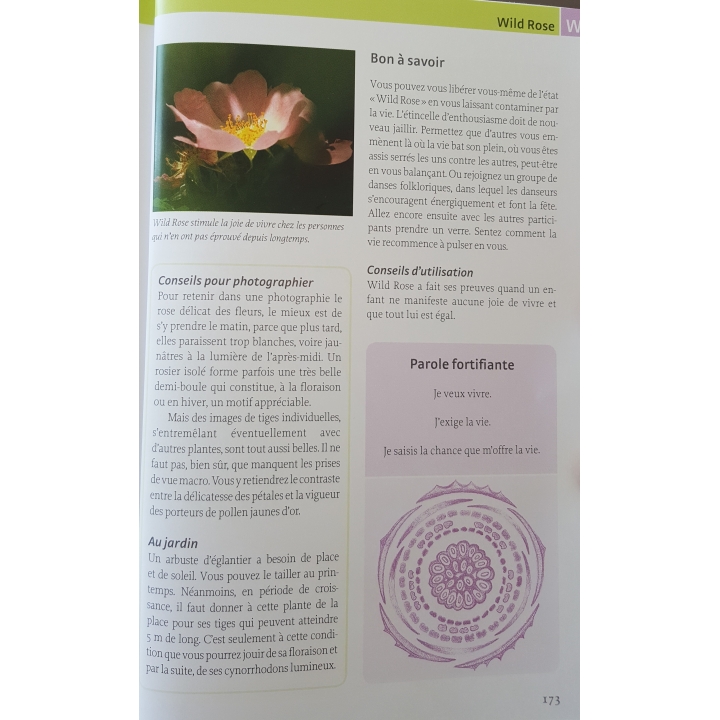 Les Fleurs de Bach authentiques de Mechthild Scheffer Mes Fleurs de BACH 12 - mesfleursdebach.com 