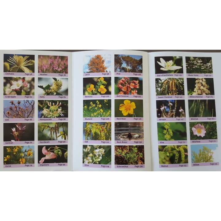 Les Fleurs de Bach authentiques de Mechthild Scheffer Mes Fleurs de BACH 13 - mesfleursdebach.com 