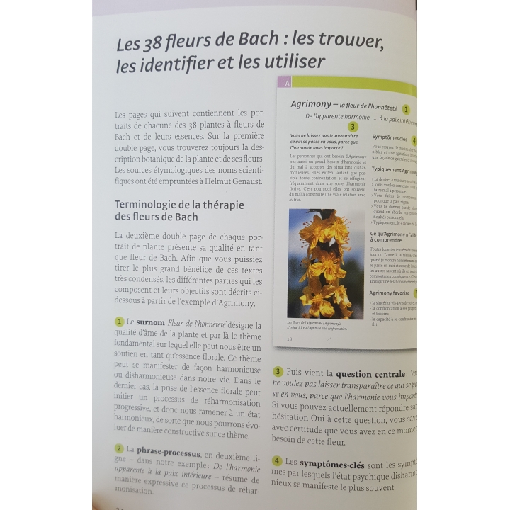 Les Fleurs de Bach authentiques de Mechthild Scheffer Mes Fleurs de BACH 4 - mesfleursdebach.com 