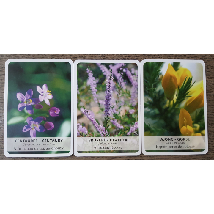 39 Cartes des élixirs floraux du DR Bach de Philippe Deroide - Deva - 10*7cm Deva 5 - mesfleursdebach.com 