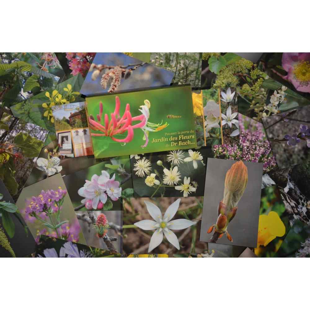 Coffret de 39 cartes d'inspiration des Fleurs de Bach Coffret de 39 cartes d'inspiration des Fleurs de Bach