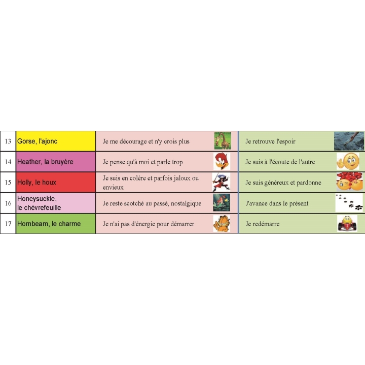 Poster Enfants Les 38 Fleurs du Dr BACH pour les enfants - 70*50cm Mes Fleurs de BACH 3 - mesfleursdebach.com 