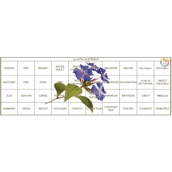 Bach Original 20 ml - Coffret vide Cerato Mes Fleurs de BACH 5 - mesfleursdebach.com 