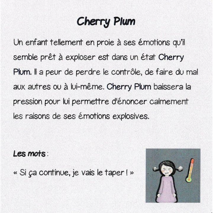 Cartes pour les enfants "Mes émotions en Fleurs", par Johanne Potums - 10*10cm Mes Fleurs de BACH 3 - mesfleursdebach.com 