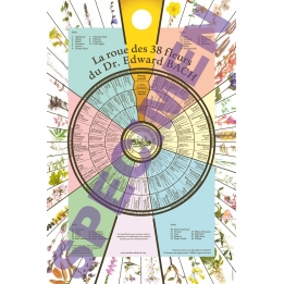 Poster: La Roue des 38 fleurs du Dr Edward Bach -70*50cm Mes Fleurs de BACH 1 - mesfleursdebach.com 