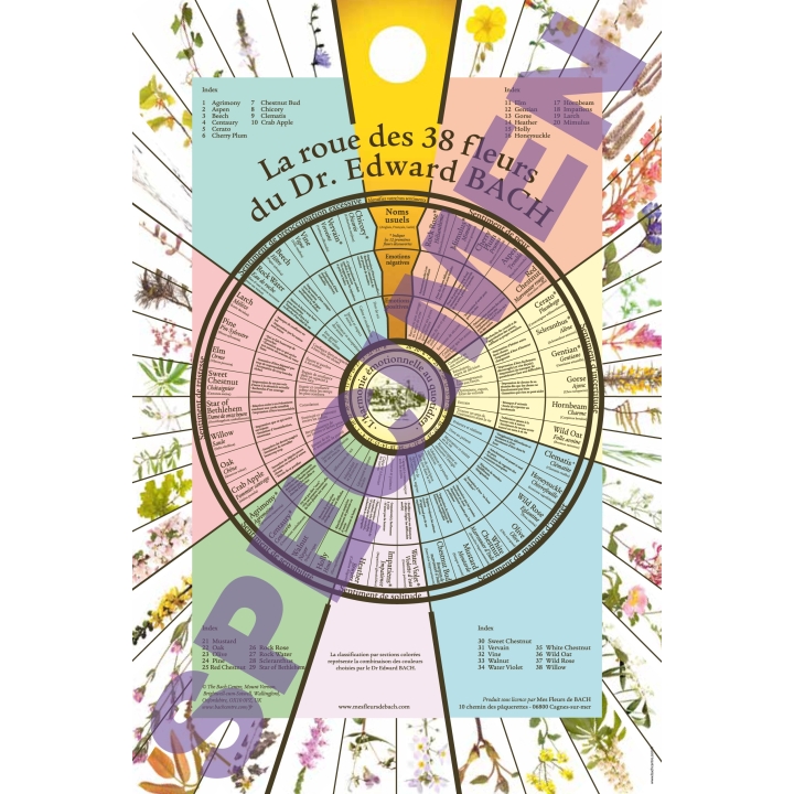 Poster: La Roue des 38 fleurs du Dr Edward Bach -70*50cm Mes Fleurs de BACH 1 - mesfleursdebach.com 