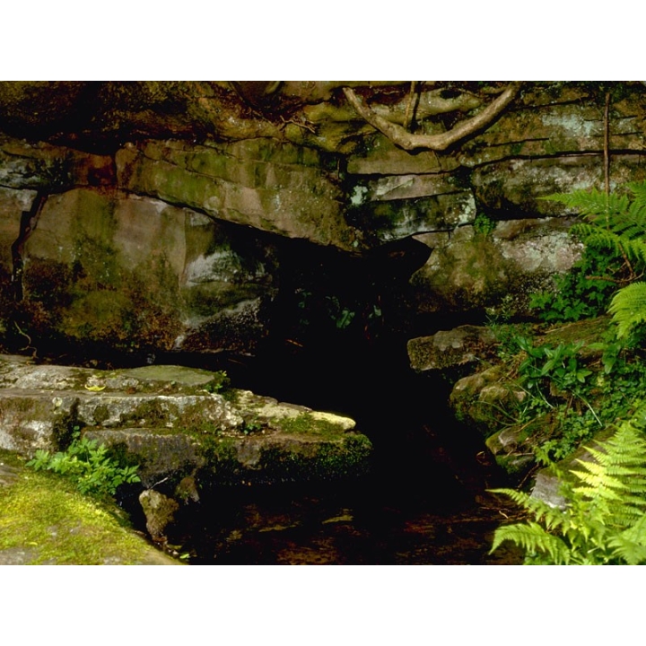 Rock Water Healing Herbs 30 ml (Eau de Roche) Healing Herbs 3 - mesfleursdebach.com 