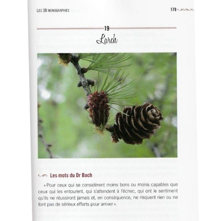 Fleurs de Bach, fleur de soi de Annie Guibert Mes Fleurs de BACH 3 - mesfleursdebach.com 