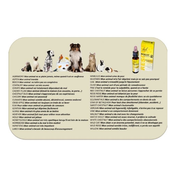 Bach - Rescue Pets Jour 10 ml (animaux) sans alcool compte-gouttes Bach Original Bach Original Nelsons 7 - mesfleursdebach.com 