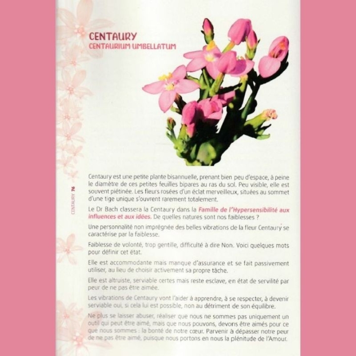 Spiritualité: Les Fleurs de Bach auraient-elles un dessein? de Pascale Challamel Mes Fleurs de BACH 5 - mesfleursdebach.com 