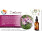 Centaury fleurs de bach original 20 ml (Centaurée)