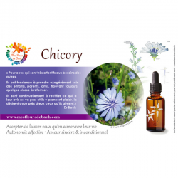 Chicory (Chicorée) 20ML BACH ORIGINALS