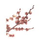 Elm fleurs de bach original 20 ml (Orme)
