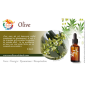 Olive fleurs de bach original 20 ml (Olive)
