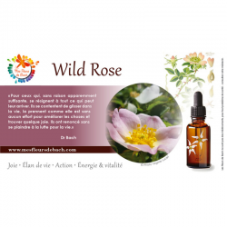 Wild Rose (Églantine) 20ML BACH ORIGINALS
