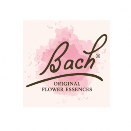 Bach Original 20ml - 40 flacons