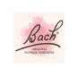 Bach original 20 ml - Coffret vide en Frêne