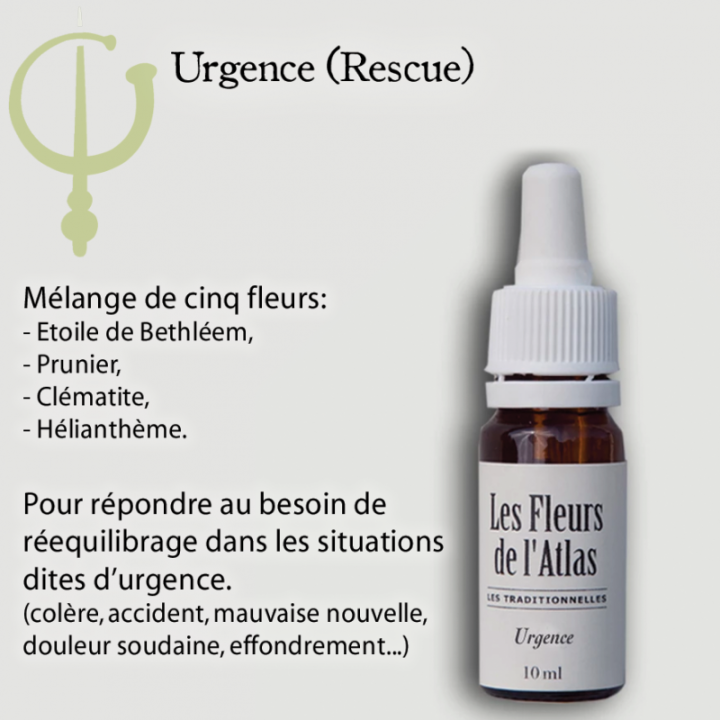 Urgence Rescue sans alcool jour spray 30 ml - Les Fleurs de l'Atlas Fleurs de l'Atlas - Sans alcool 3 - mesfleursdebach.com 