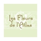 Scleranthus Fleurs de l'Atlas 10 ml (Alène)