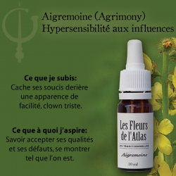 Agrimony (Aigremoine) 10ML FLEURS DE L'ATLAS