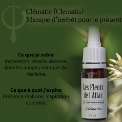 Clematis (Clématite) 10ML FLEURS DE L'ATLAS