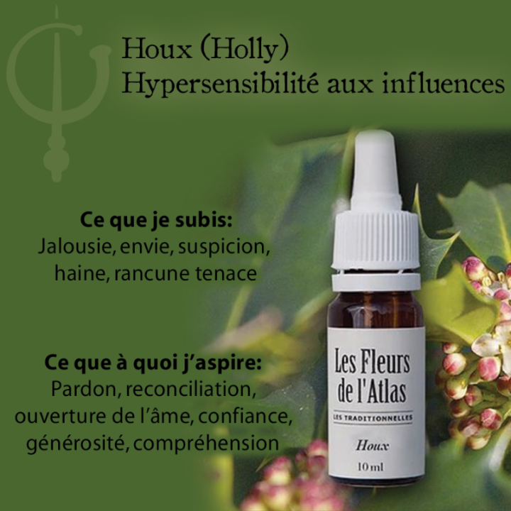 Holly Fleurs de Bach sans alcool - Fleurs de l'Atlas 10 ml (Houx) Fleurs de l'Atlas - Sans alcool 3 - mesfleursdebach.com 