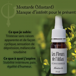 Mustard (Moutarde) 10ML FLEURS DE L'ATLAS