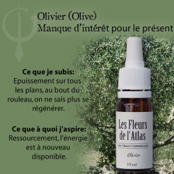 Olive (Olive) 10ML FLEURS DE L'ATLAS