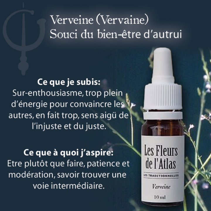 Vervain Fleurs de Bach sans alcool - Fleurs de l'Atlas 10 ml (Verveine) Fleurs de l'Atlas - Sans alcool 2 - mesfleursdebach.com 