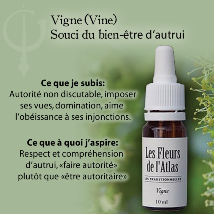 Vine Fleurs de Bach sans alcool - Fleurs de l'Atlas 10 ml (Vigne) Fleurs de l'Atlas - Sans alcool 3 - mesfleursdebach.com 