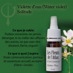 Water Violet (Violette d'Eau ou Hottonie des marais) 10ML FLEURS DE L'ATLAS