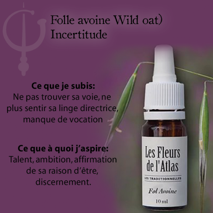 Wild Oat Fleurs de Bach sans alcool - Fleurs de l'Atlas 10 ml (Folle Avoine) Fleurs de l'Atlas - Sans alcool 3 - mesfleursdebach