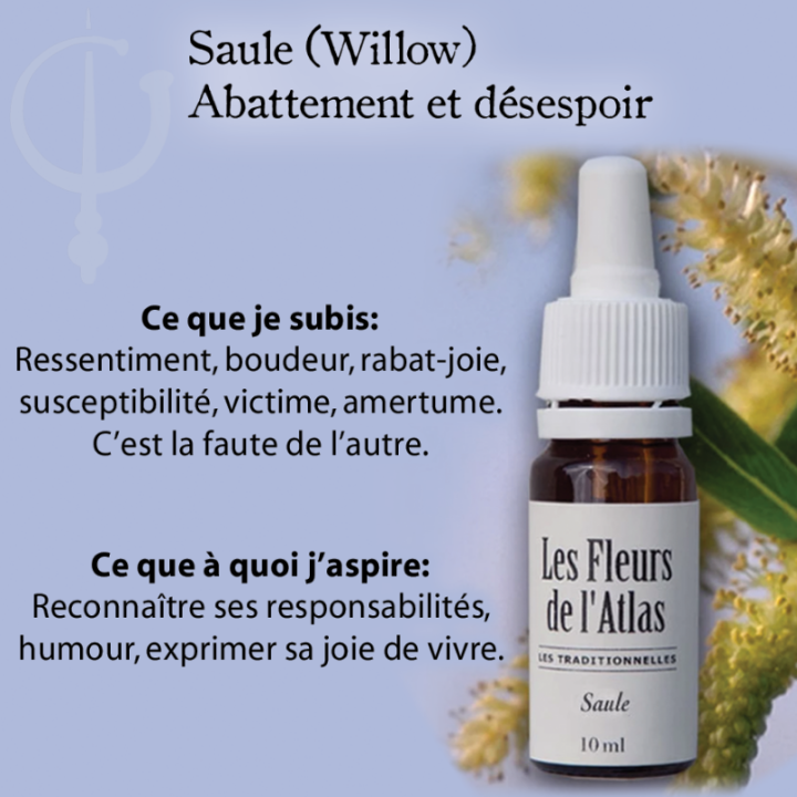 Willow Fleurs de Bach Sans Alcool - Fleurs de l'Atlas 10 ml (Saule) Fleurs de l'Atlas - Sans alcool 2 - mesfleursdebach.com 