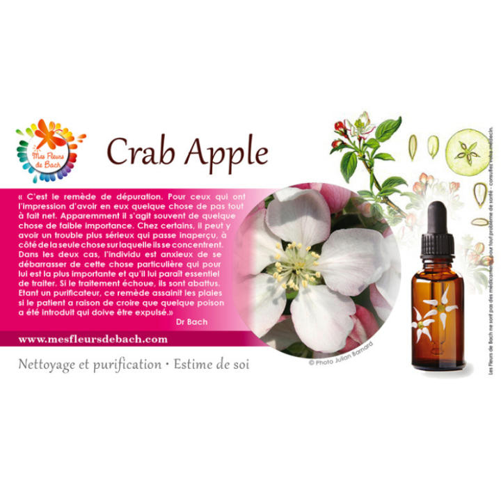 Crab Apple Deva 30 ml (Pommier Sauvage) Deva 3 - mesfleursdebach.com 