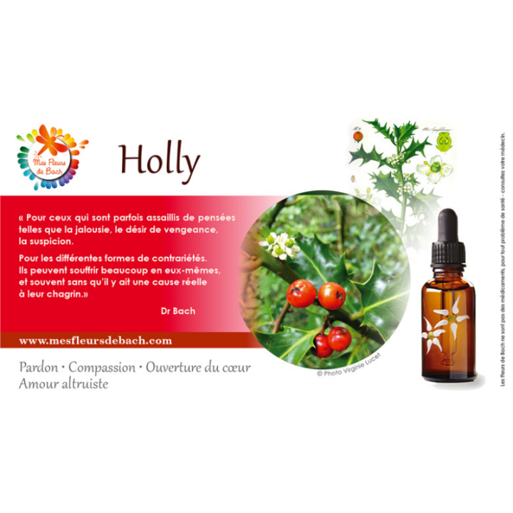 Holly Deva 30 ml (Houx) Deva 3 - mesfleursdebach.com 