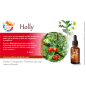 Holly Deva 30 ml (Houx)