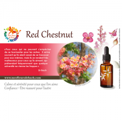 Red Chestnut (Marronnier Rouge) 30ML DEVA