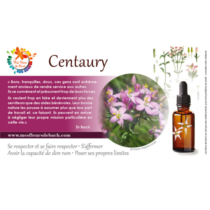 Centaury Deva 30 ml (Centaurée) Deva 3 - mesfleursdebach.com 
