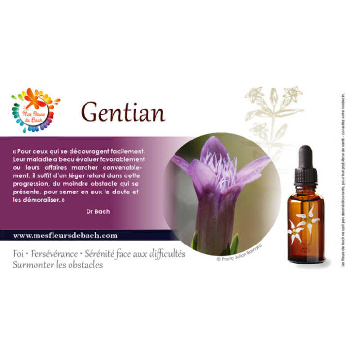 Gentian Deva 30 ml (Gentiane) Deva 3 - mesfleursdebach.com 