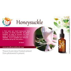 Honeysuckle (Chèvrefeuille) 30ML DEVA