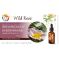Wild Rose Deva 30 ml (Églantine)
