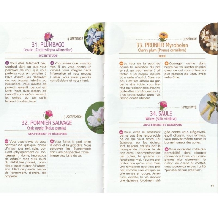 Nos Emotions. les Fleurs. la Vie de François Deporte, conseiller & formateur agréé par le Centre Bach Mes Fleurs de BACH 2 - mes