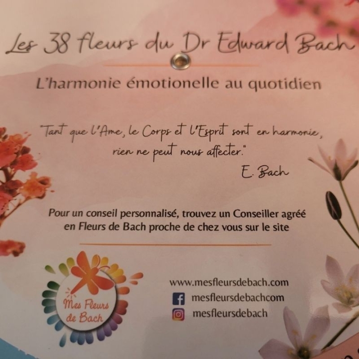 Roue de recommandation des Fleurs de Bach Mes Fleurs de BACH 6 - mesfleursdebach.com 