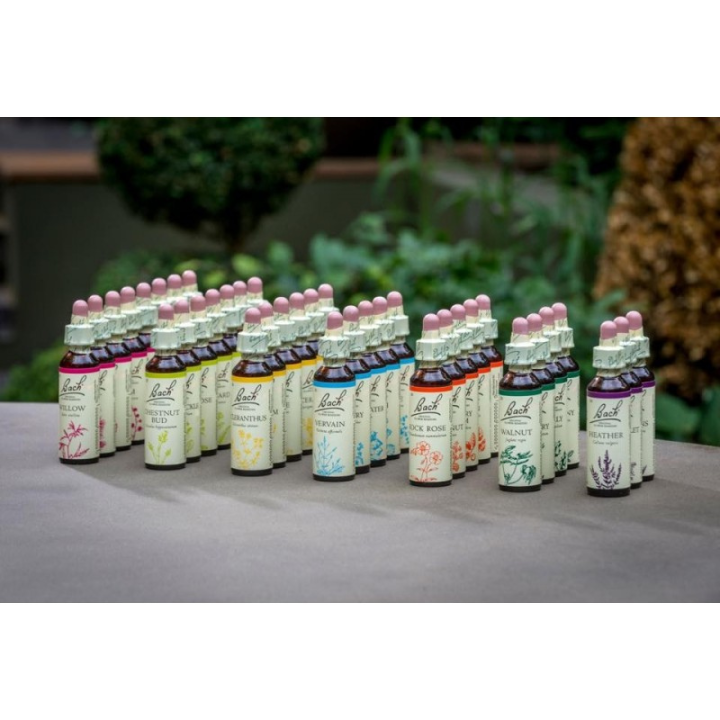 Bach Original 20ml - Coffret 38 Fleurs + 2 Rescue - Plein en bois - Cerato Bach Original Nelsons 5 - mesfleursdebach.com 