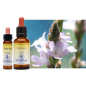 Healing Herbs 30 ml - Coffret 38 Fleurs de Bach + 2 Elixirs d'urgence Rescue