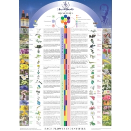 Poster des 38 Fleurs de Bach en anglais par Julian Barnard - 45*32cm Healing Herbs 1 - mesfleursdebach.com 