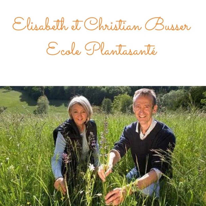 Animaux, Fleurs de Bach et Elixirs floraux par Elisabeth Busser Mes Fleurs de BACH 4 - mesfleursdebach.com 